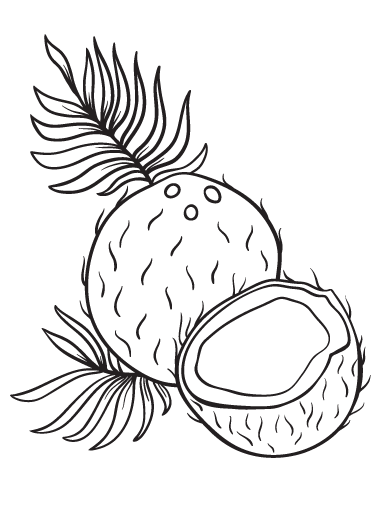 Free coconut coloring page