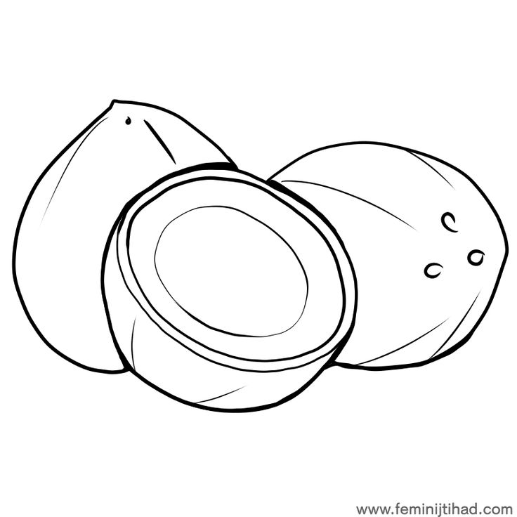 Coconut coloring pages printable pdf