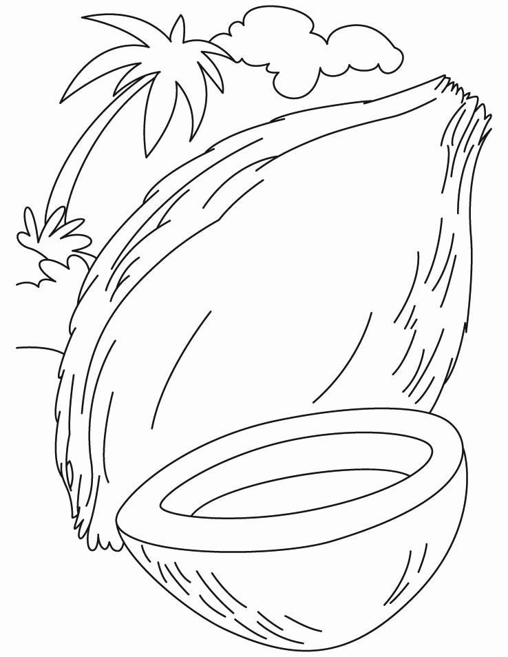 Coconut coloring pages