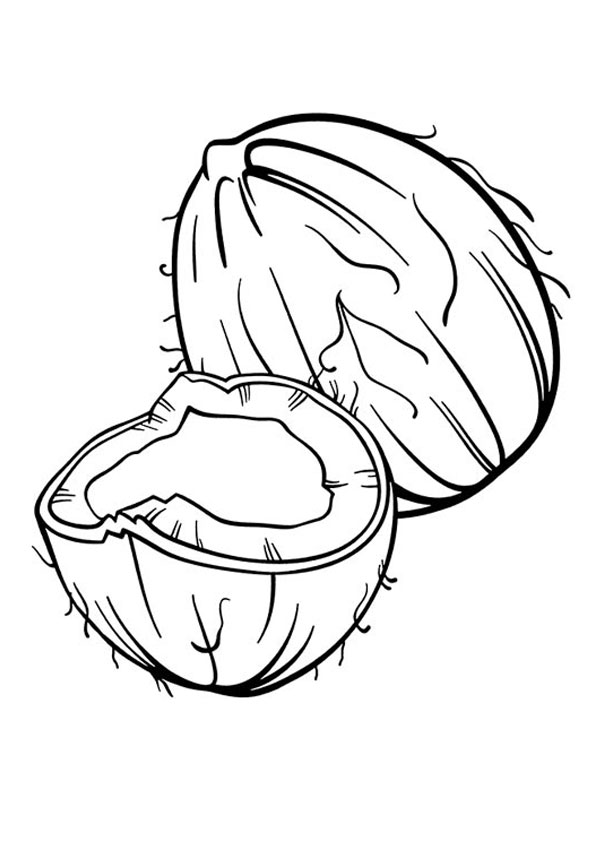 Coloring pages free printable coconut coloring pages for kids