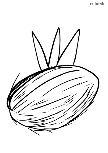 Coconuts coloring pages free printable coconut coloring sheets