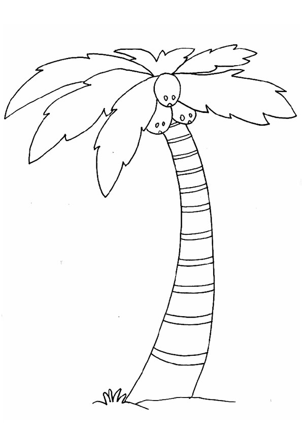 Coloring pages printable coconut tree coloring page for kids