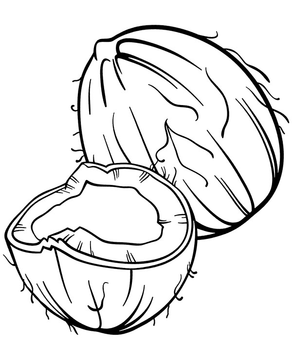 Big coloring page of coconut