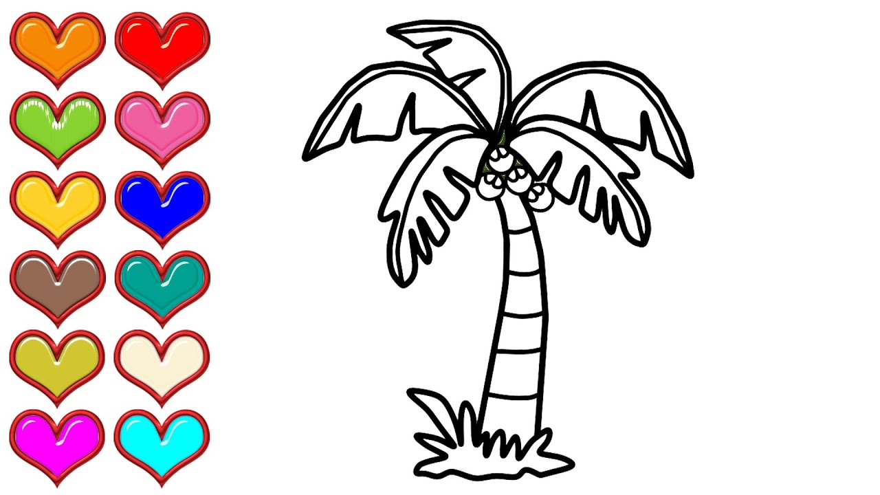 How to draw coconut tree coloring pages learn colors for babies mirza colors kids