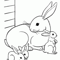 Resultado de imagem para desenhos de coelho para colorir bunny coloring pages animal coloring pages rabbit colors