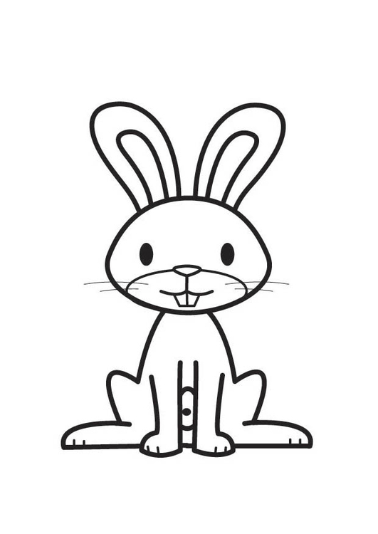Desenho para colorir coelho