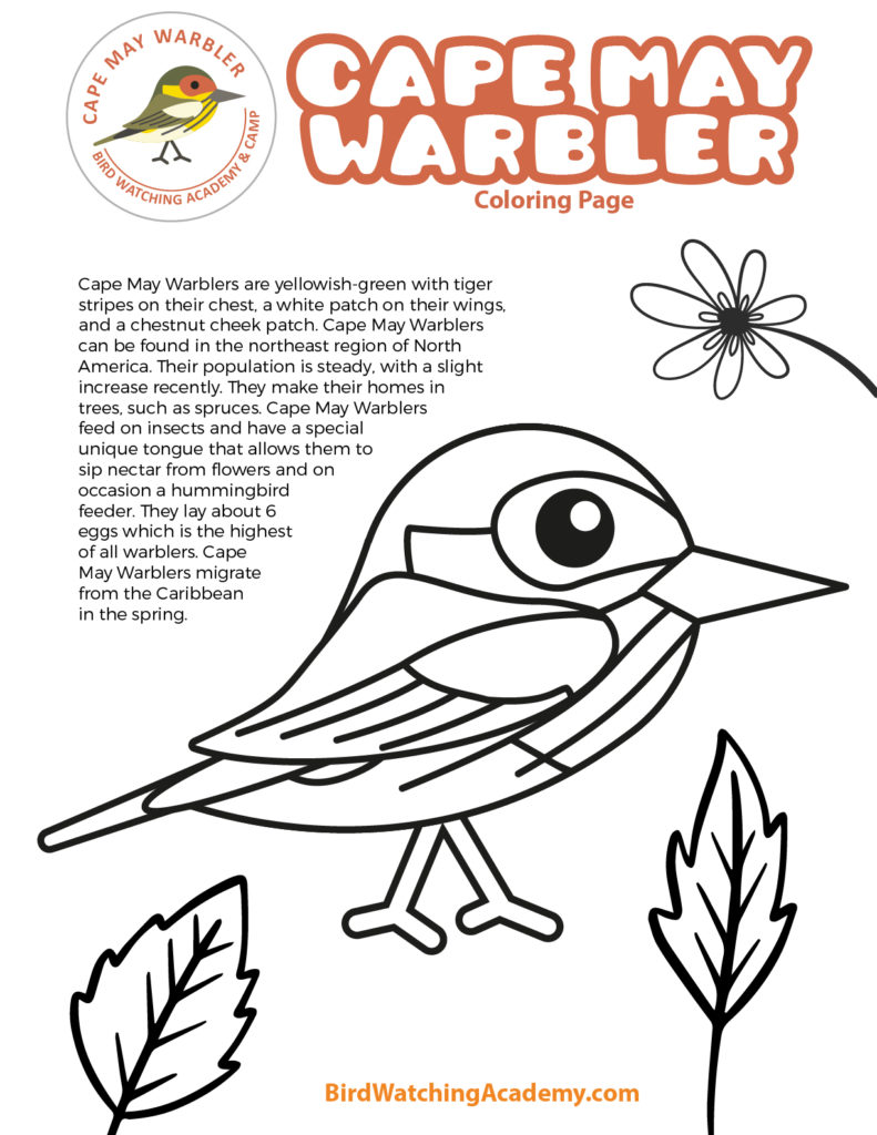 Cape may warbler coloring page