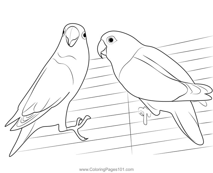 Love bird coloring page coloring pages bird coloring pages coloring pages for kids