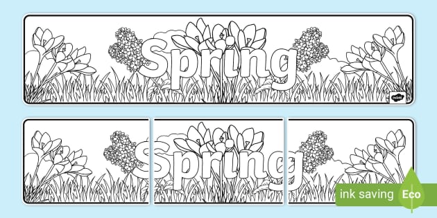 Spring colouring display banner teacher made