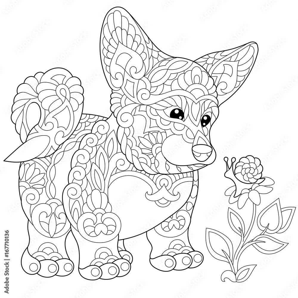 Coloring page of cardigan welsh corgi puppy freehand sketch drawing for adult antistress colouring book with doodle and zentangle elements vector