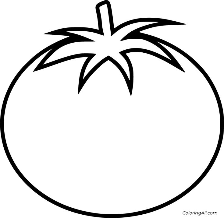 Free printable tomato coloring pages in vector format easy to print from any device and automatiâ tomato color vegetable coloring pages fruit coloring pages