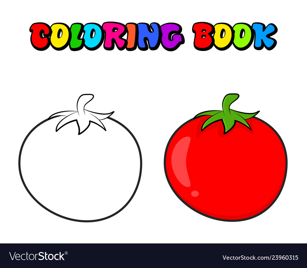 Simple tomato outline for colouring book isolated vector image