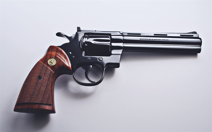 Download wallpapers colt python close