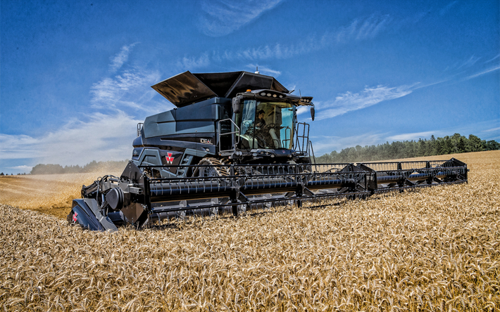 Download wallpapers massey ferguson ideal bine harvester harvesting concepts harvesting wheat massey ferguson for desktop free pictures for desktop free