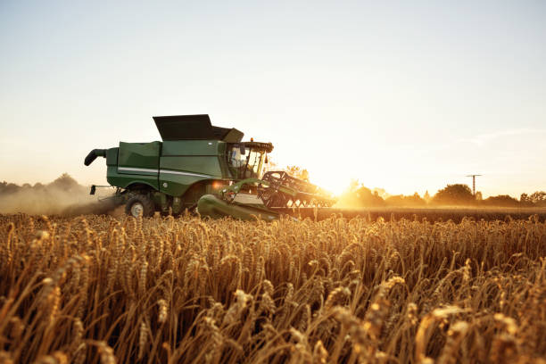 Bine harvester stock photos pictures royalty