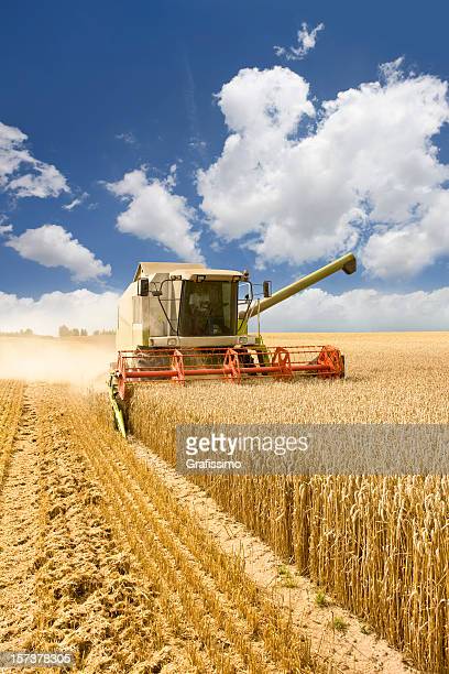 Combine harvester bilr und fotos