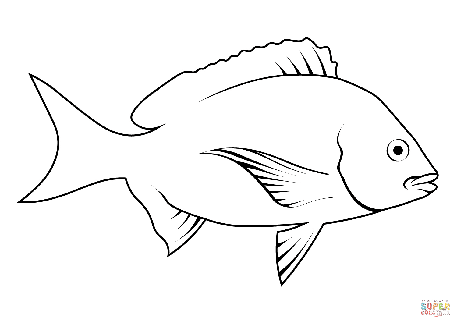 Mon bream abramis brama coloring page free printable coloring pages