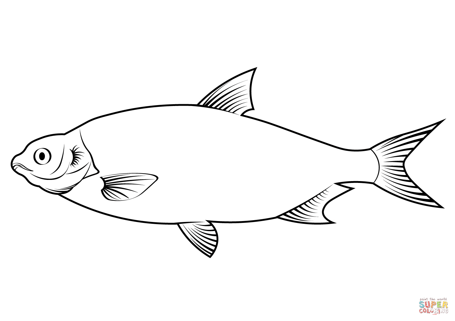 Mon dace leuciscus leuciscus coloring page free printable coloring pages