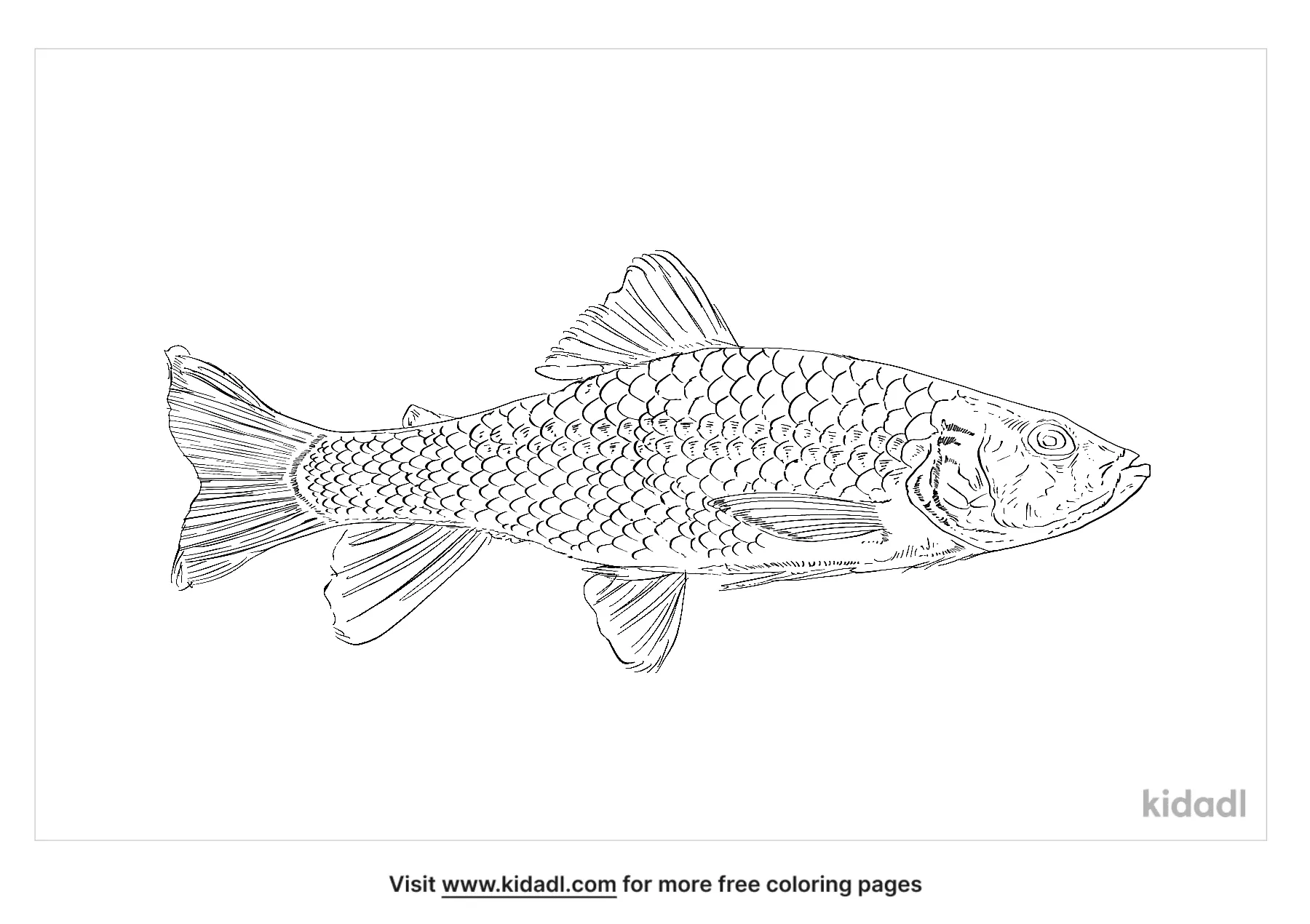 Free mon dace coloring page coloring page printables