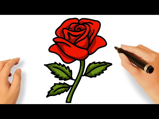 Cão dibujar una rosa facil