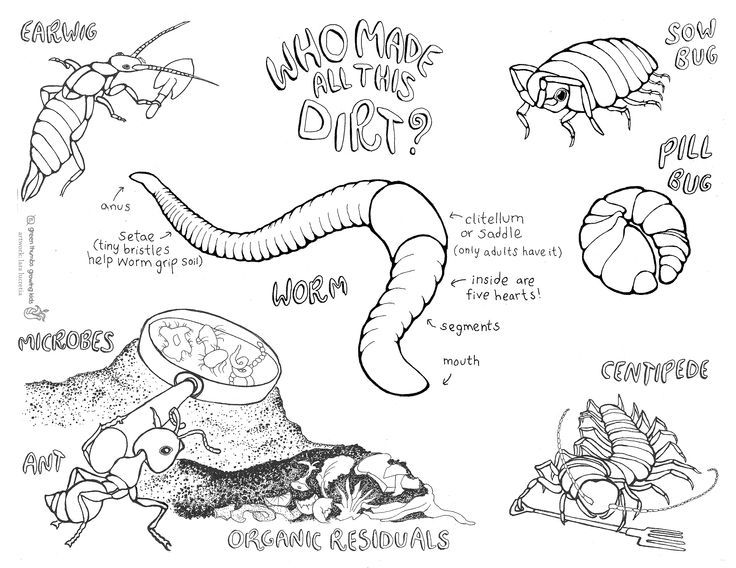 Garden coloring pages coloring pages coloring pages for boys