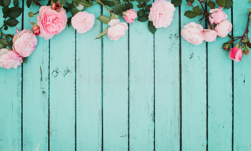 Shabby chic stock photos