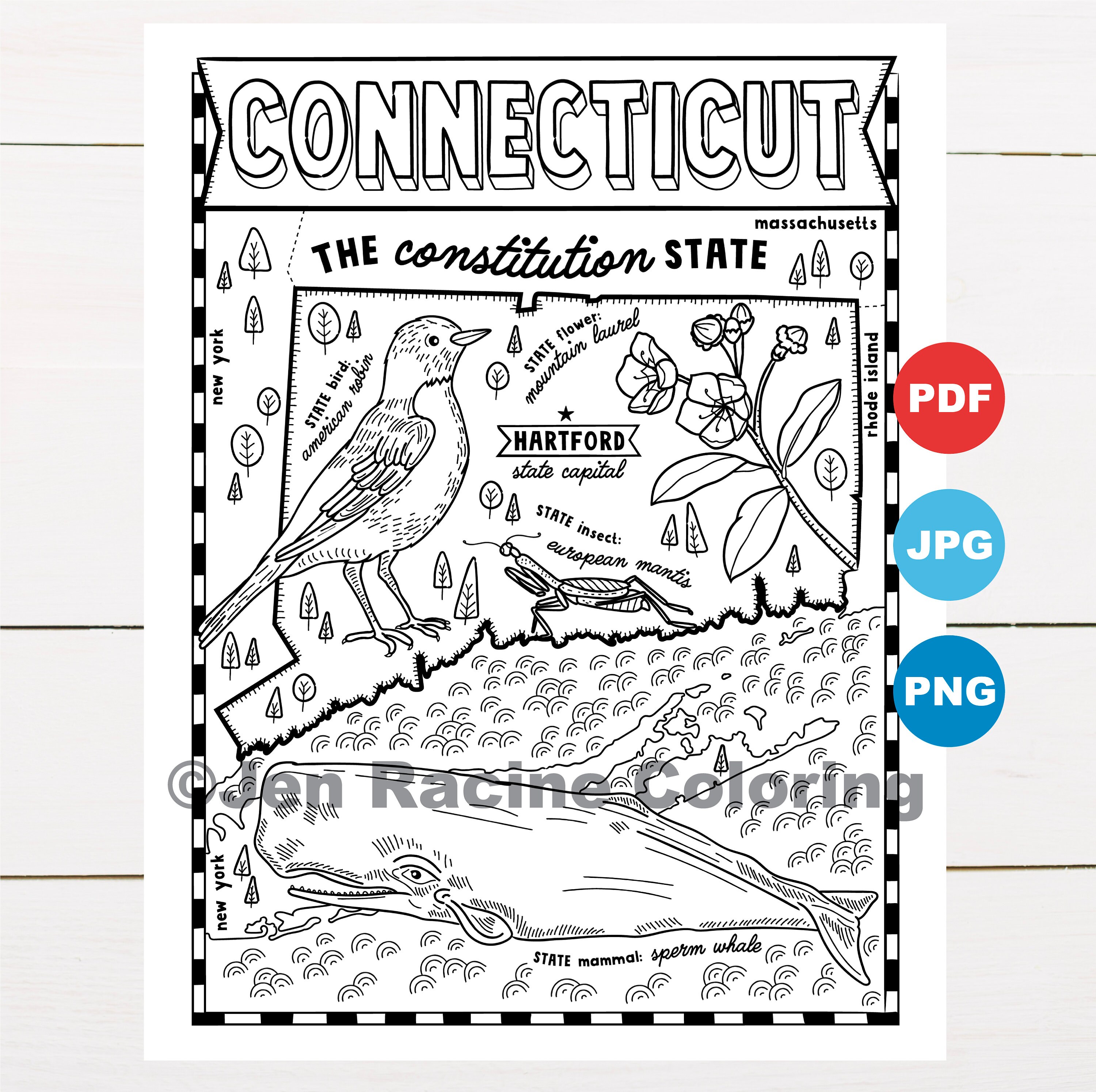 Connecticut coloring page united states state map wildlife state symbols flowers coloring pages download now