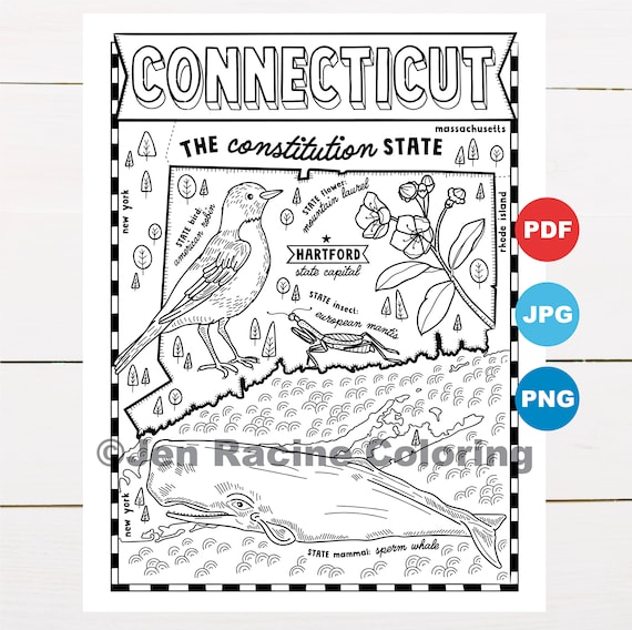 Connecticut coloring page united states state map wildlife state symbols flowers coloring pages download now