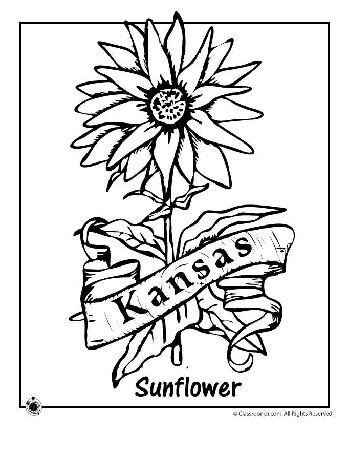 Add color to your world with kansas state coloring pages