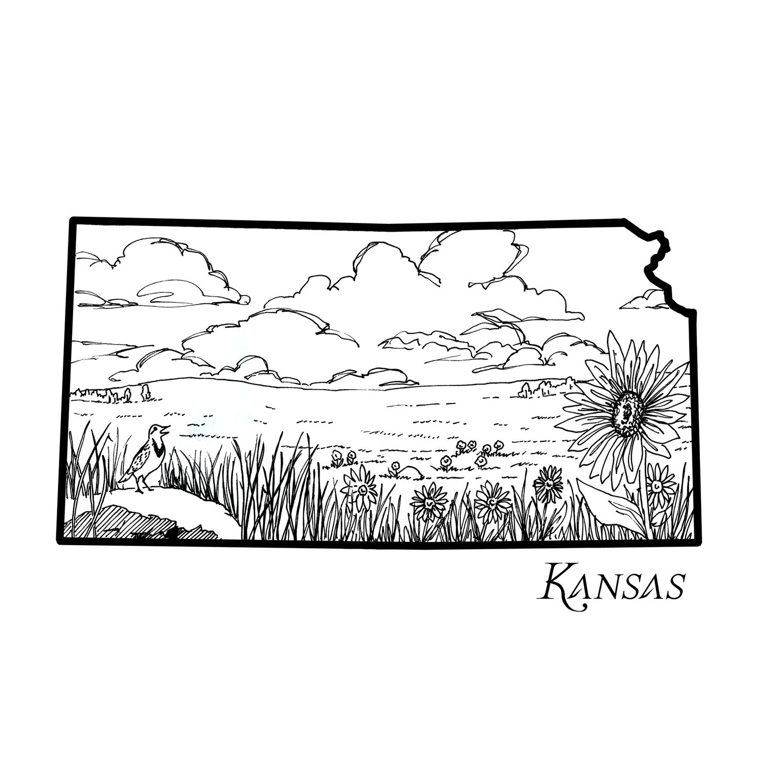 Kansas â corvidae drawings designs