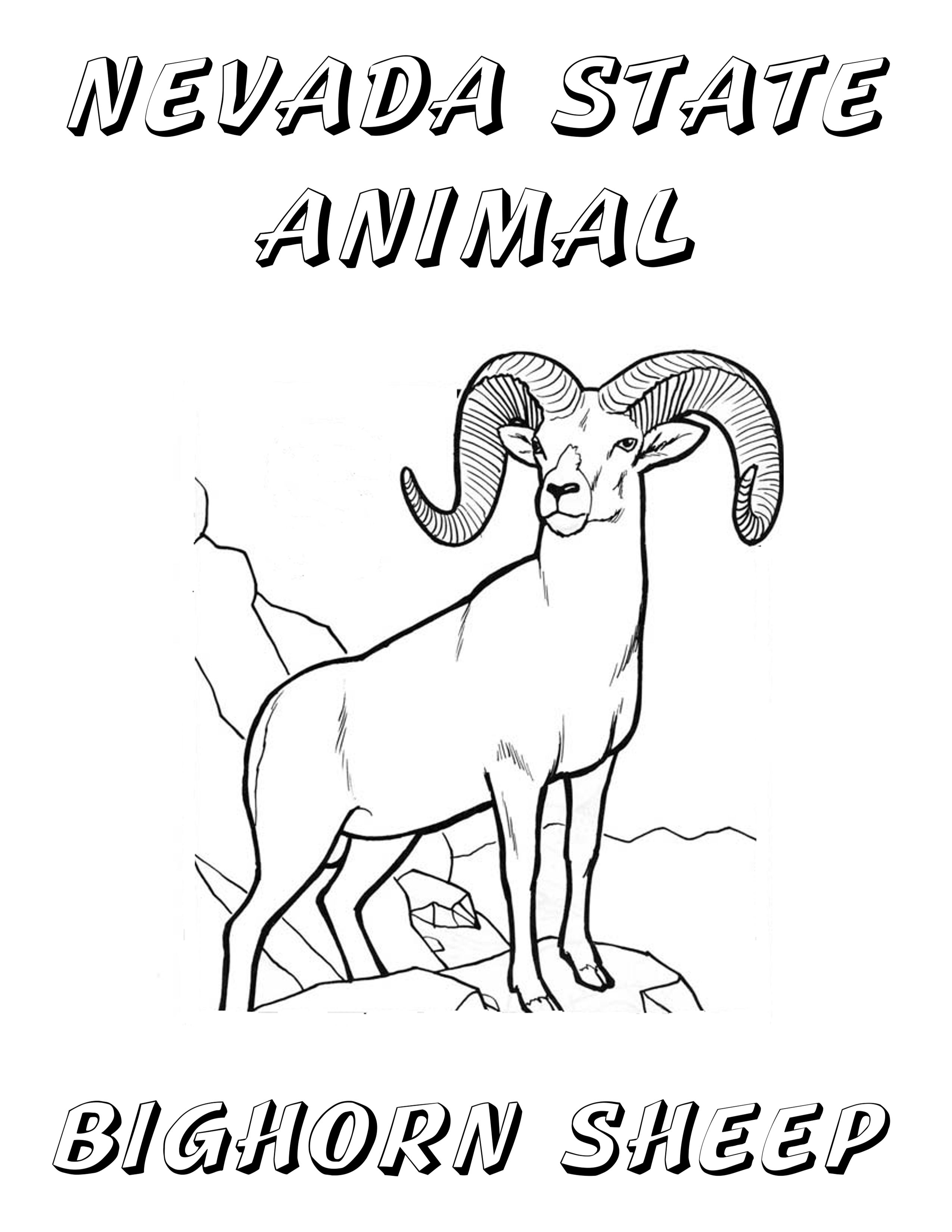 Nevada state animal coloring page sketch coloring page flag coloring pages nevada coloring pages