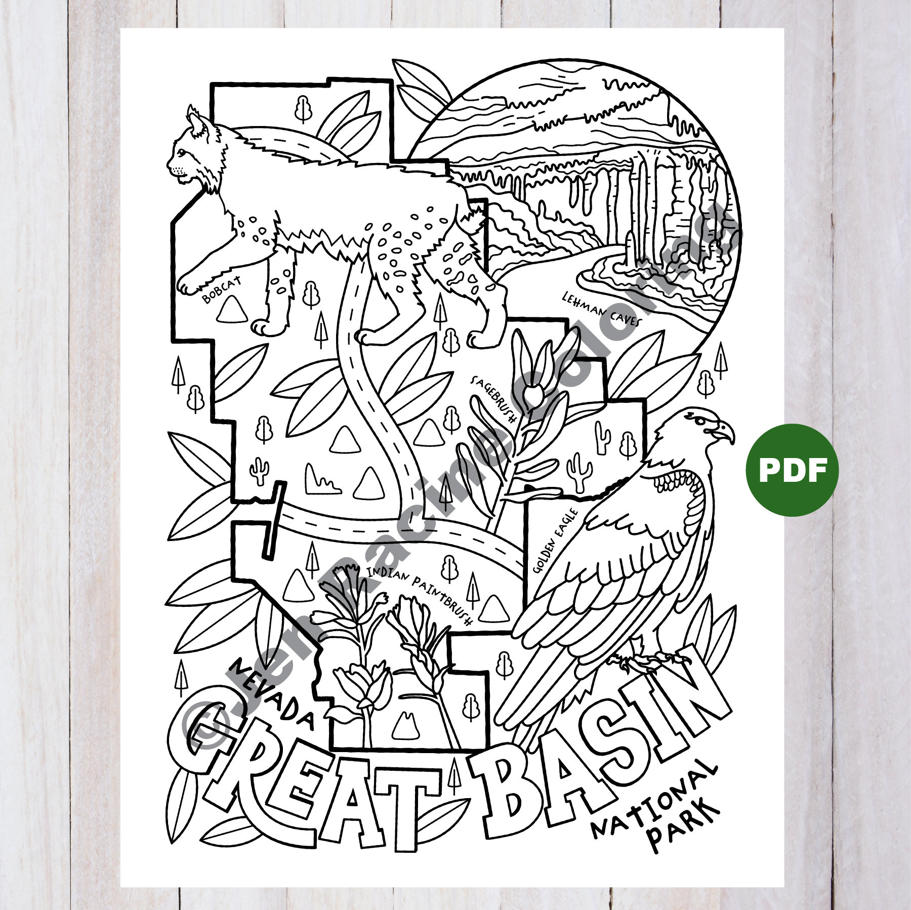 Nevada coloring page