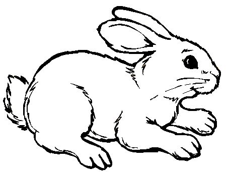 Conejoparacolorearpintargif ã bunny coloring pages animal coloring pages rabbit pictures