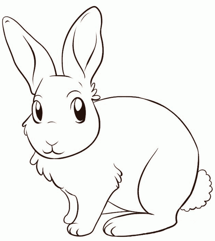 Conejo pa colore imãgenes y fotos cute pet printables free coloriage lapin dessin lapin dessin gratuit