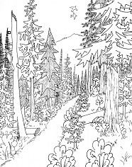 Forest coloring pages printable for free download