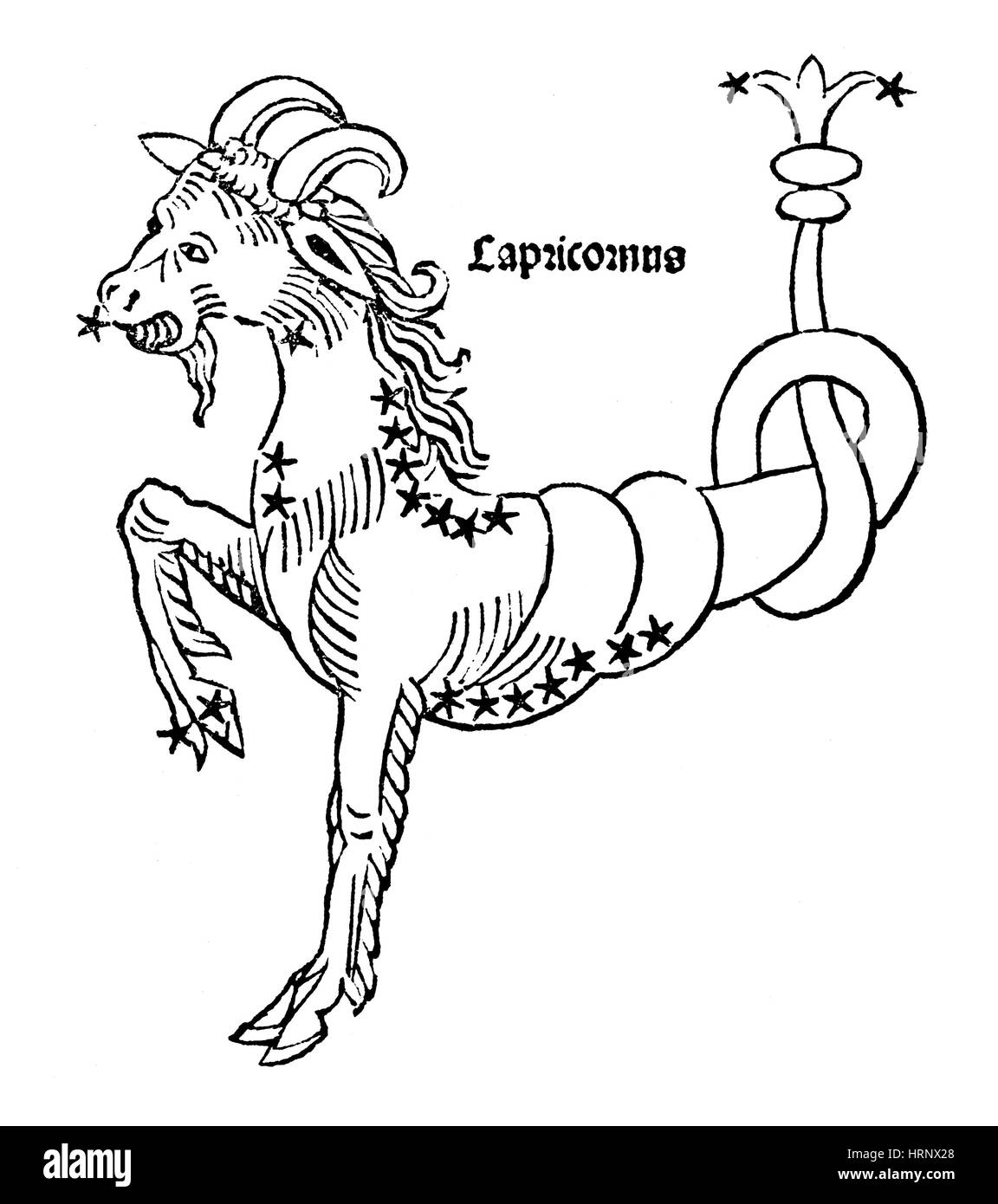 Zodiaco capricornio fotografãas e imãgen de alta roluciãn