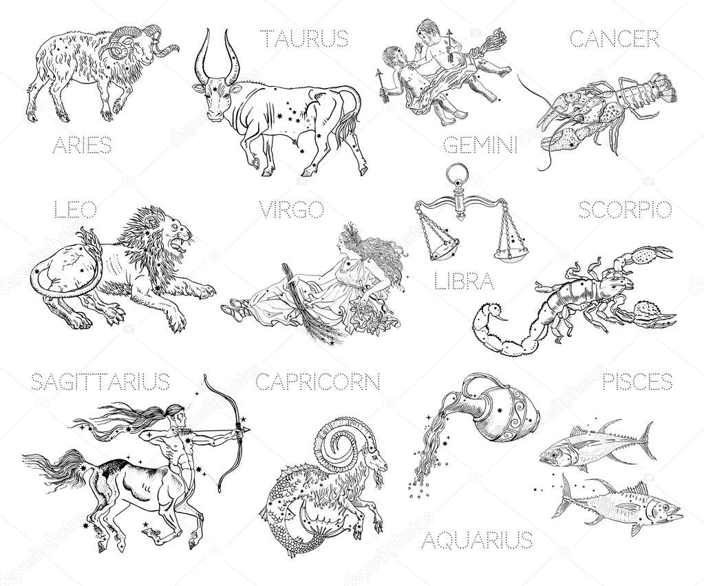 Constelaciones signos del zodiaco horãscopo aries tauro gãminis cãncer leo virgo libra escorpio sagitario capricornio acuario piscis vintage grabado tatuaje estilo dibujos aislados en blanco vector de stock de naktisart