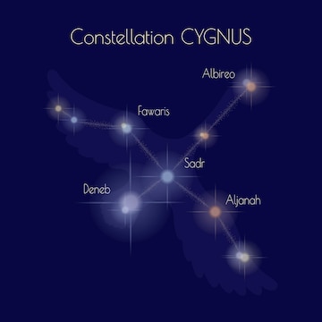 Constelaciãn del cisne sobre el fondo de un cielo azul oscuro las trellas del hemisferio norte celte son deneb sadr alianah favaris albireo el contorno de un cisne vector premium