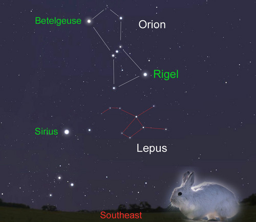 La constelaciãn de lepus la liebre la bitãcora de galileo