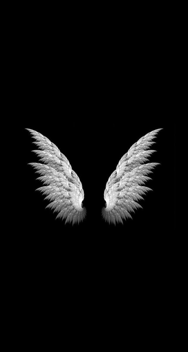 Just not ready cool black wallpaper wings wallpaper black and white wallpaper iphone