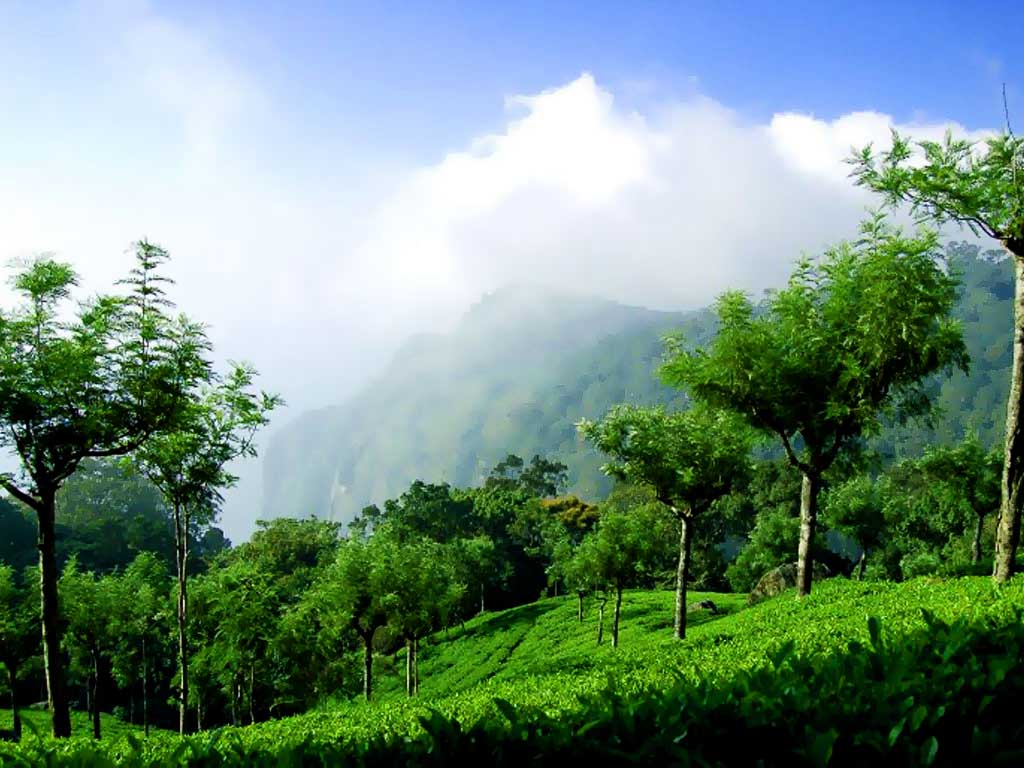 Coonoor photos images and wallpapers hd images near by images