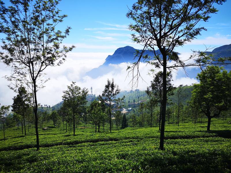 Coonoor stock photos