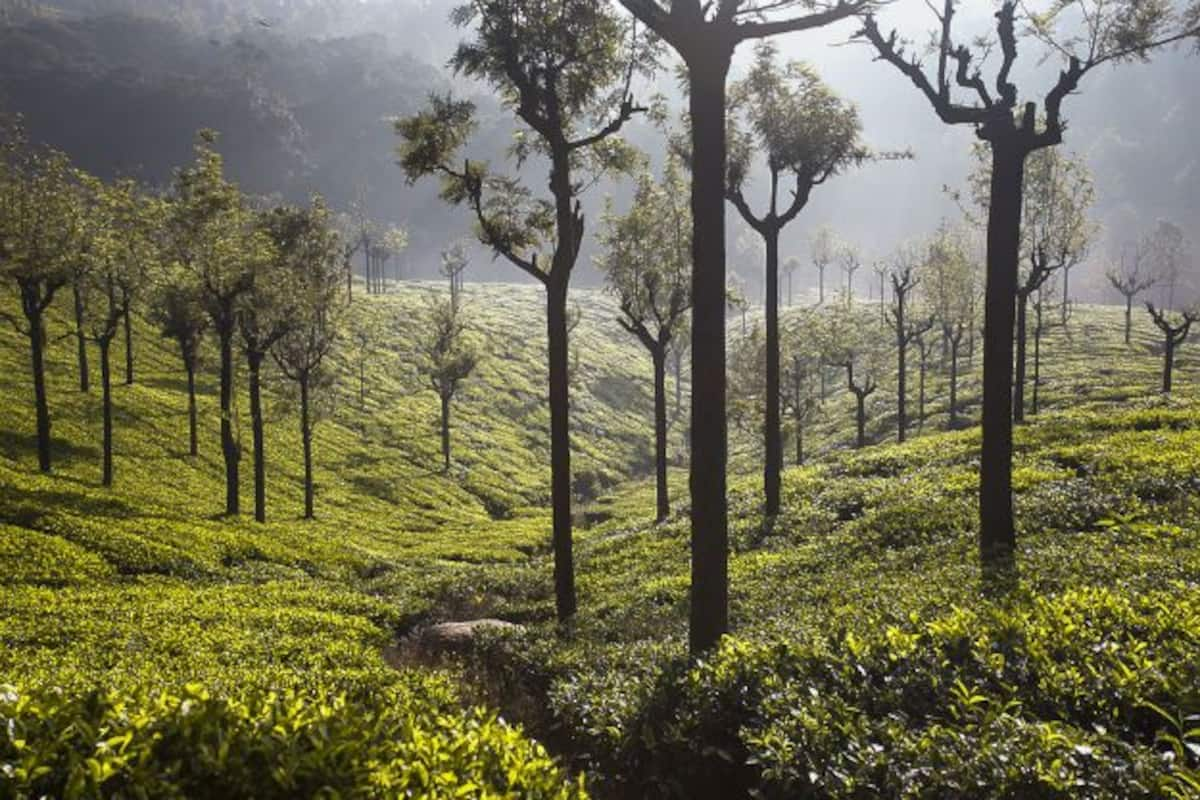 These coonoor images will sweep you off your feet and make you dream of a vacation