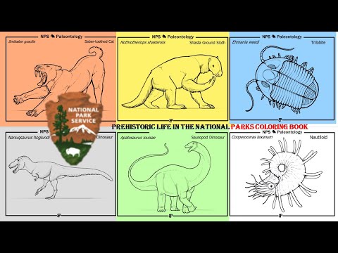 Prehistoric life in the national parks coloring book