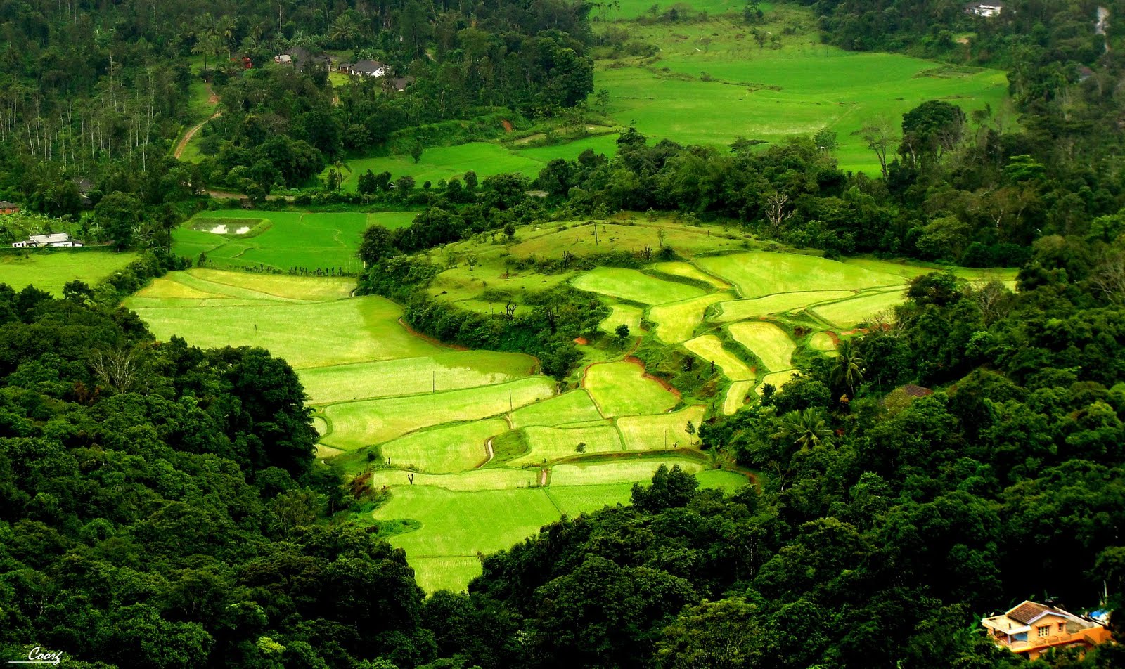 Coorg photos images and wallpapers hd images near by images