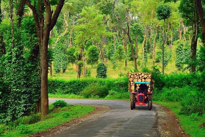 Best things to do in coorg with photos a beautifiul escape for