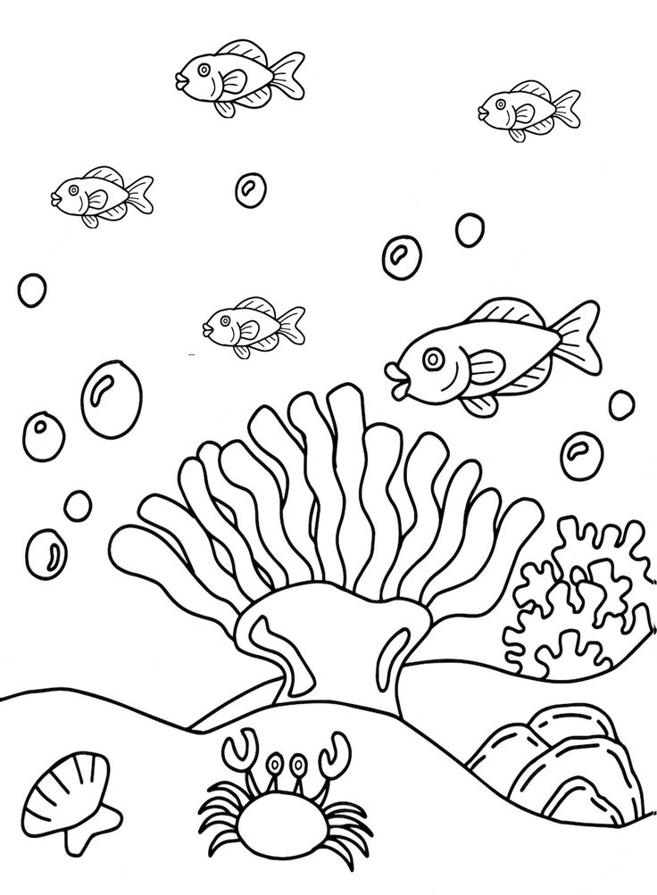 Coral coloring pages