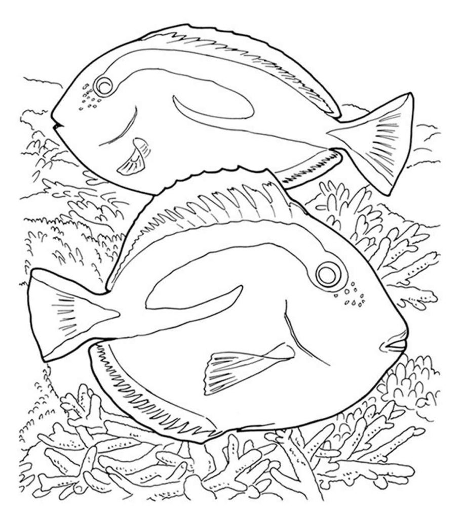 Top coral coloring pages for toddler