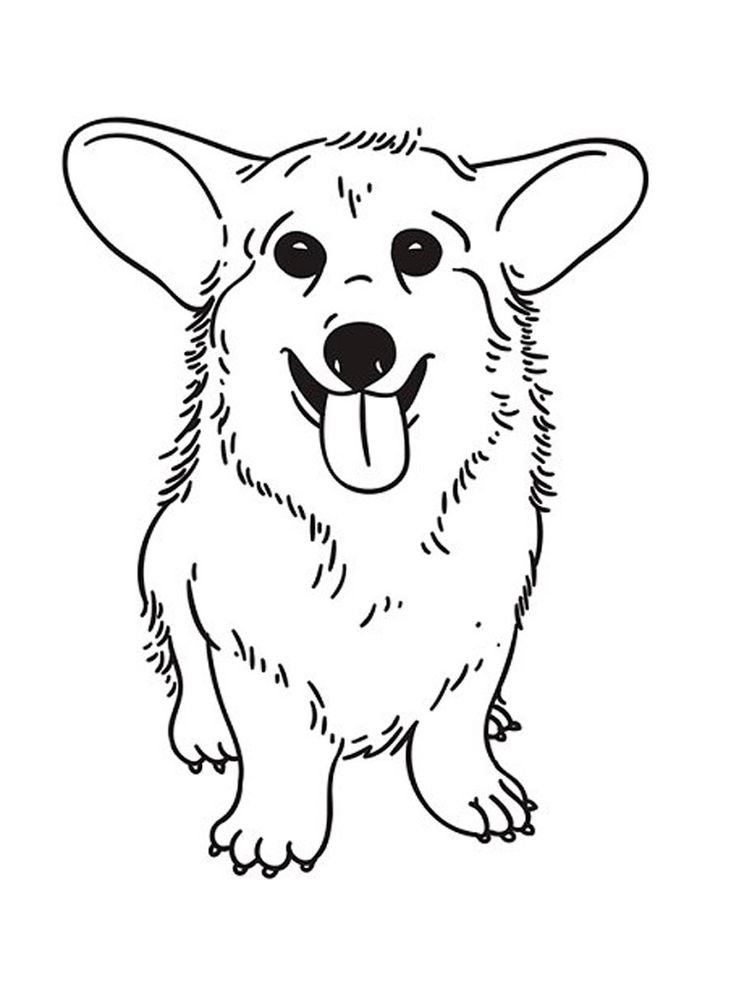 Corgi coloring pages crazy corgi animal coloring pages corgi