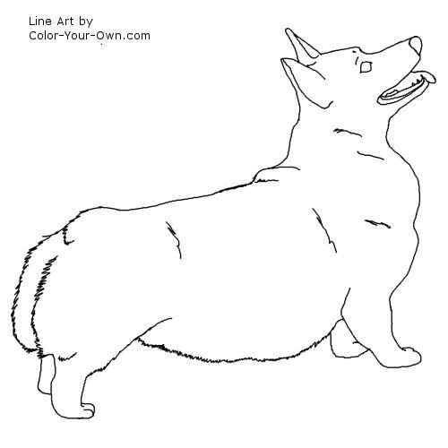 Pembroke corgi coloring page corgi art corgi pembroke dog line art